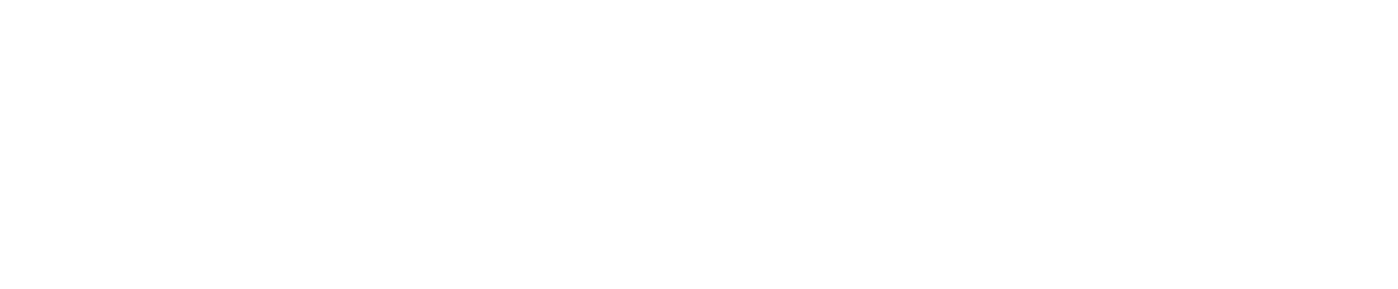 NexaGo Courier & Cargo